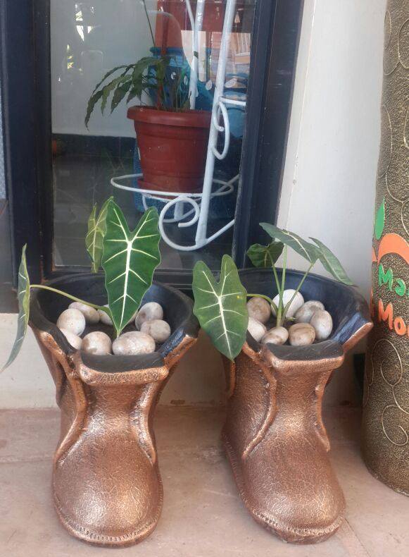 Maua and More Kensington Shopping Boulevard, Kensington Luxury Heights Kyanja, Kampala, Uganda, Gardeners, Gardens, Kampala Uganda Gardening and Landscaping, Home Decor, Interior & Exterior Design, Herbs, Flowers, Flower Pots Kampala Uganda, Ugabox